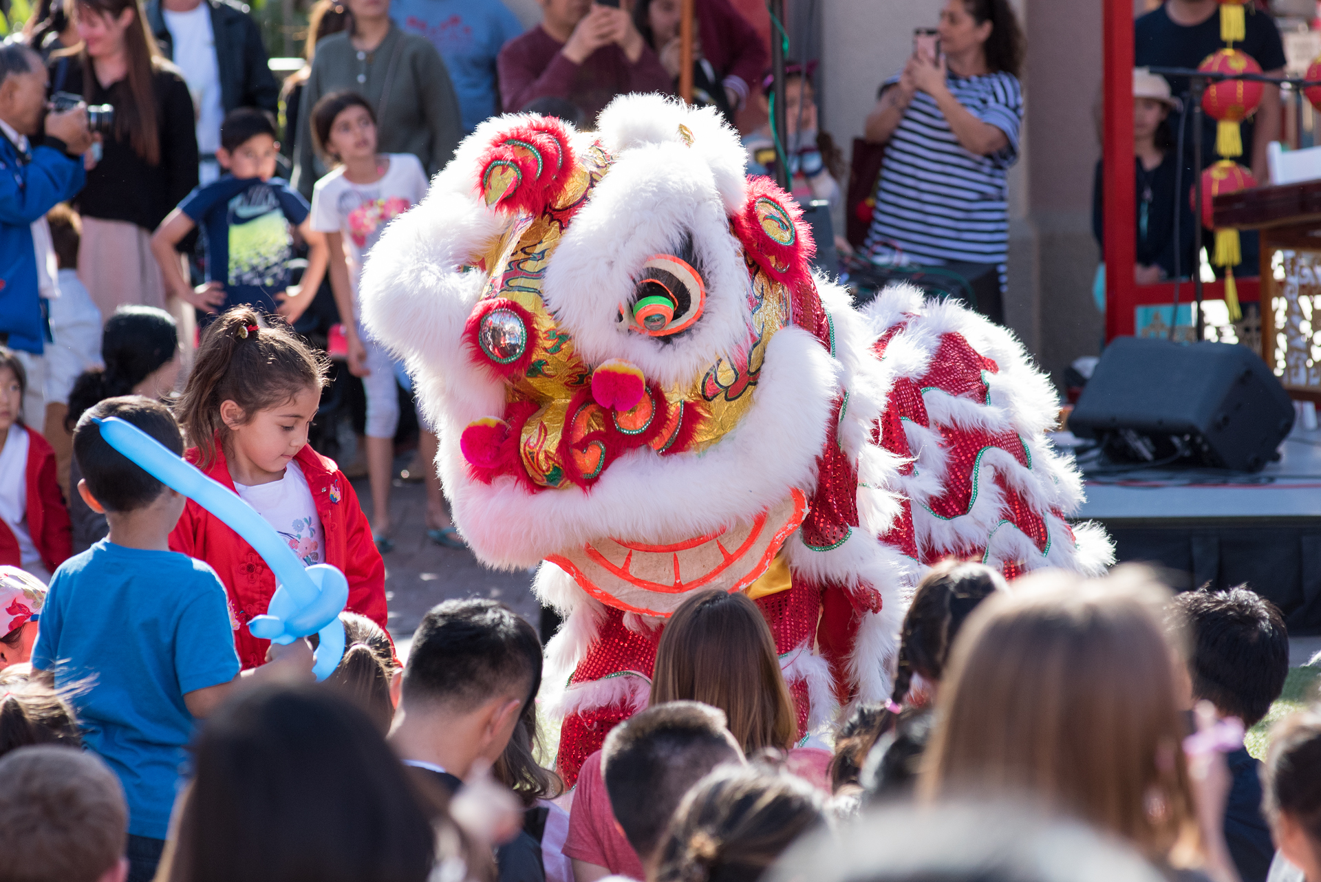 ChinaPro Client Shopping Centers Celebrate Chinese New Year in Major